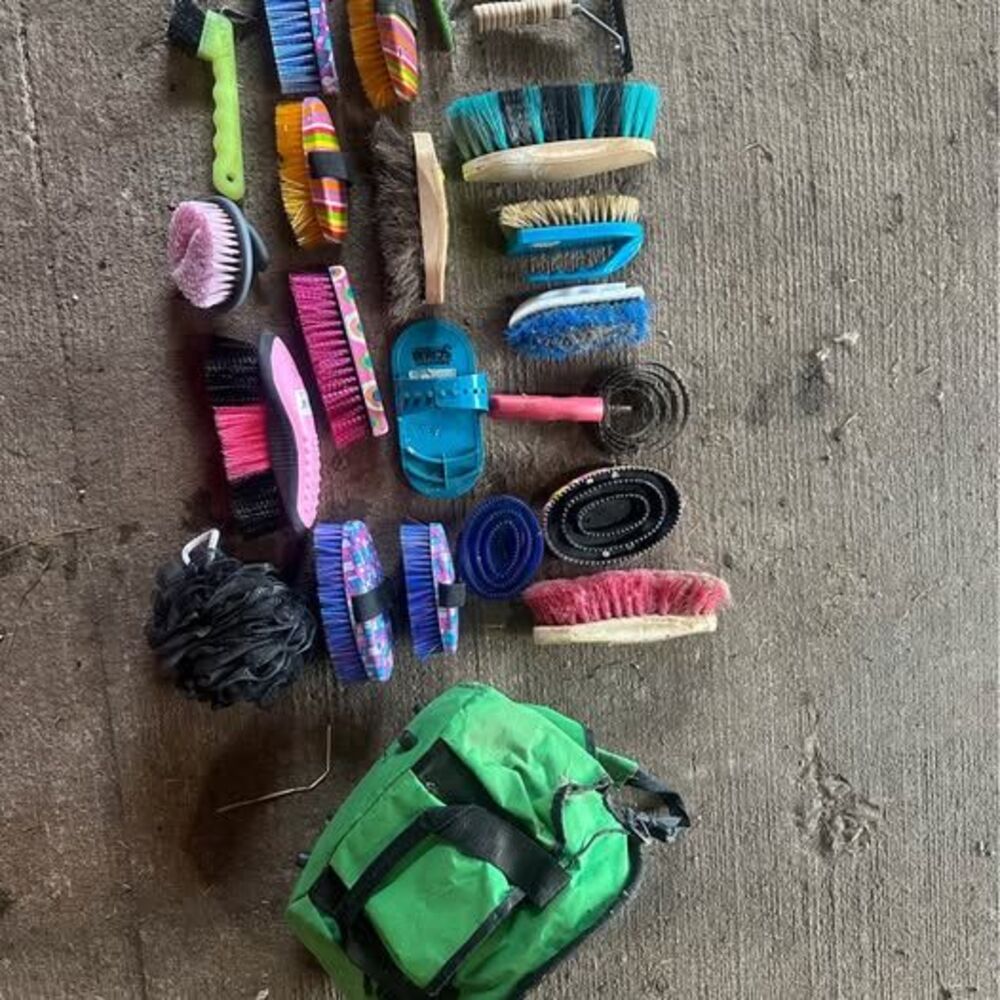 Huge Lot (17pcs) Horse/Livestock Grooming Brushes + Used Tote Bag